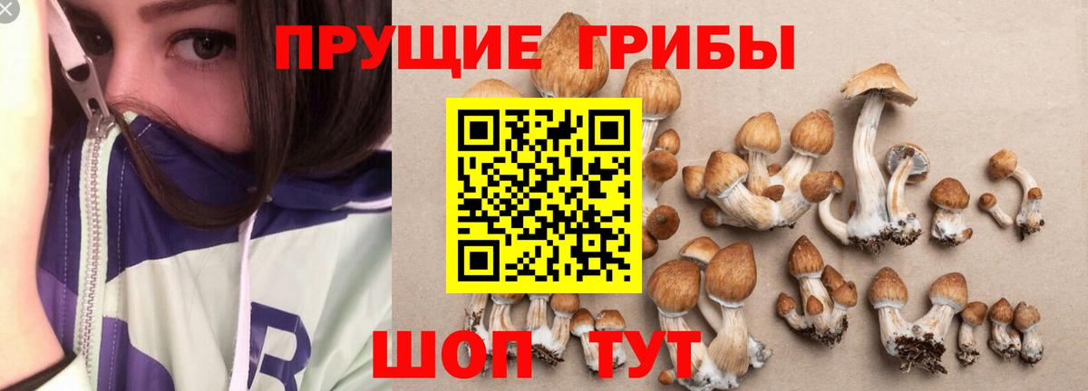 Псилоцибиновые грибы мухоморы  Вход с VPN  Чапаевск  Галлюциногенные грибы ЛСД 
